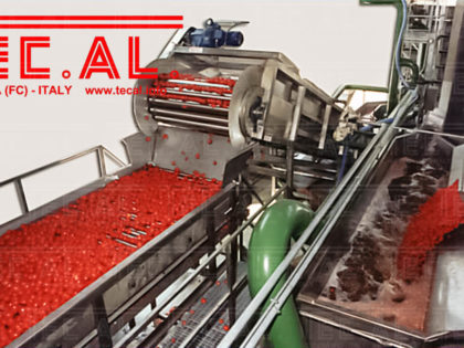 TOMATO PROCESSING LINES