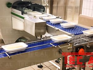 CONVEYORS FOR PIZZA DOUGH